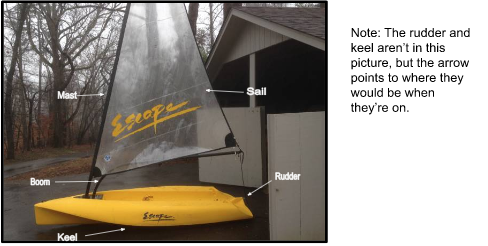 Sailboats and Sharks image of sailboat