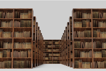 Photo reviewing books on a shelf
