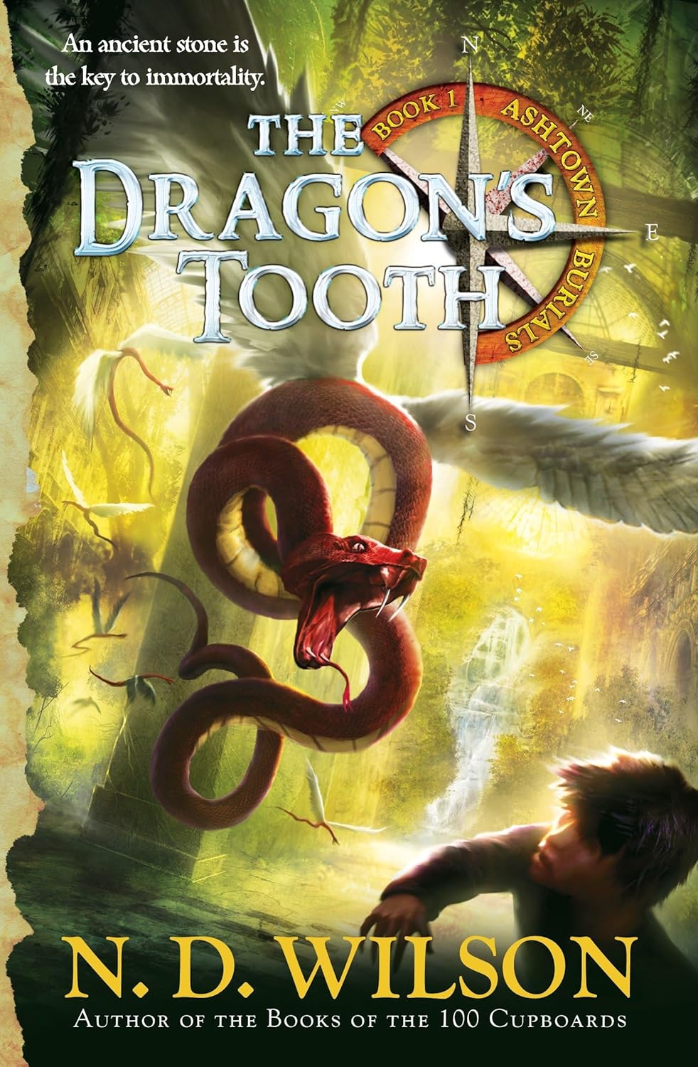 the dragon's tooth cover graphic